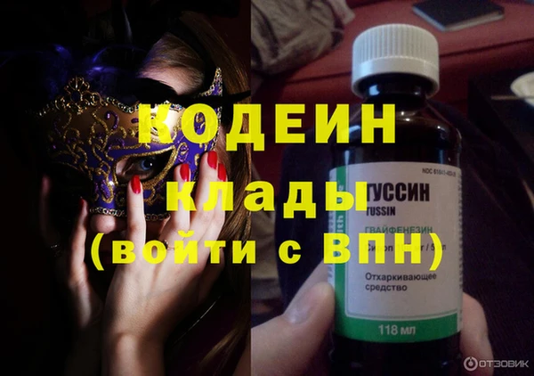 индика Киренск