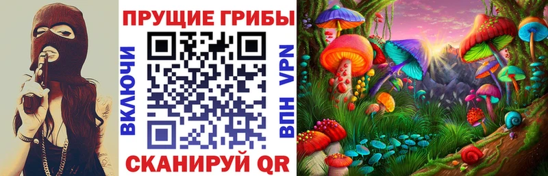 где купить   Орехово-Зуево  Галлюциногенные грибы мухоморы 